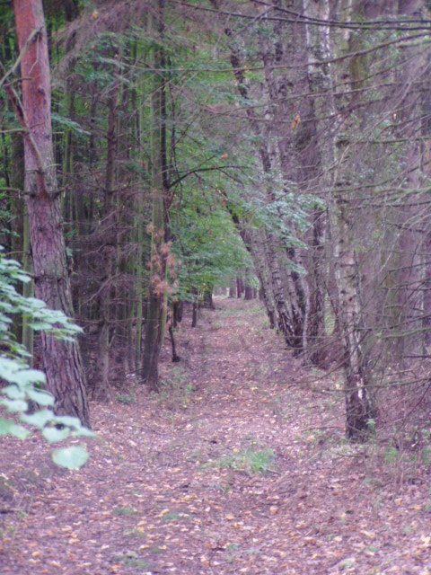 Šumava 2005
